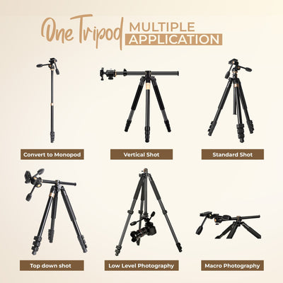 Digitek (DTR 620 BH) 6ft Multi-Angle DV Tripod cum Monopod